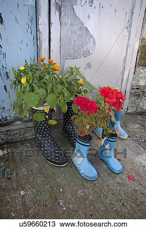 Stock Image - Six planted rubber boots outside house. Fotosearch