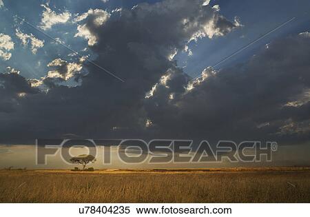 Storm clouds over plains, Etosha National Park, Namibia View Large Photo Image Stock Photography - Storm clouds over plains, Etosha National Park, Namibia. Fotosearch