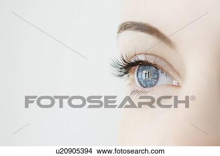 Picture - Studio close up of mid adult womans gazing blue eye. Fotosearch