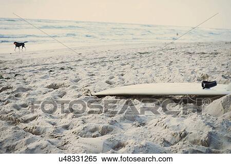 Stock Photography - Surfboard on beach, Lacanau, France. Fotosearch