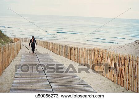 Stock Image - Surfer with surfboard walking to beach, Lacanau, France. Fotosearch