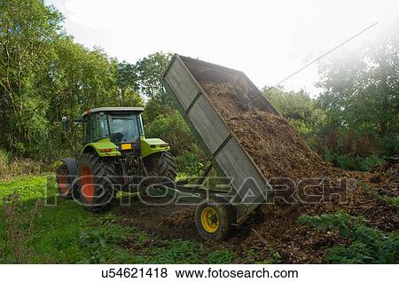Tractor and trailer tipping manure in field View Large Photo Image Stock Photo - Tractor and trailer tipping manure in field. Fotosearch