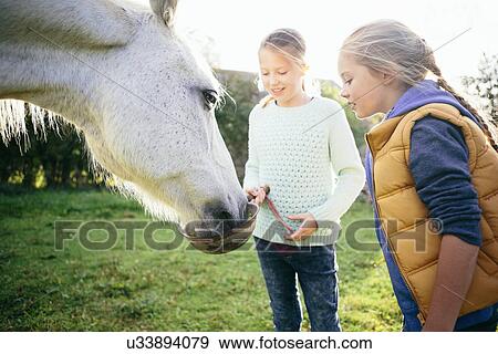 Two girls feeding horse View Large Photo Image Stock Photo - Two girls feeding horse. Fotosearch