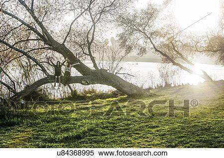 Stock Photography - Two young women sitting in tree, arms outstretched. Fotosearch