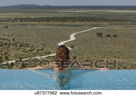 Woman watching elephants from infinity pool at Dolomite camp, Etosha National Park, Namibia View Large Photo Image Stock Image - Woman watching elephants from infinity pool at Dolomite camp, Etosha National Park, Namibia. Fotosearch