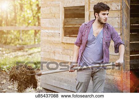 Stock Photo - Young male farmer cleaning out stable, Premosello, Verbania, Piemonte, Italy. Fotosearch