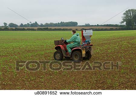 Young male farmer wearing protective mask spray crop in field View Large Photo Image Stock Image - Young male farmer wearing protective mask spray crop in field. Fotosearch