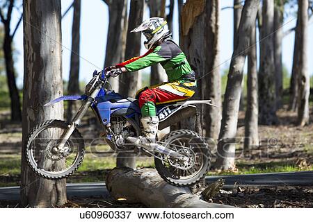 Young male motocross racer jumping on top of forest logs View Large Photo Image Stock Photo - Young male motocross racer jumping on top of forest logs. Fotosearch