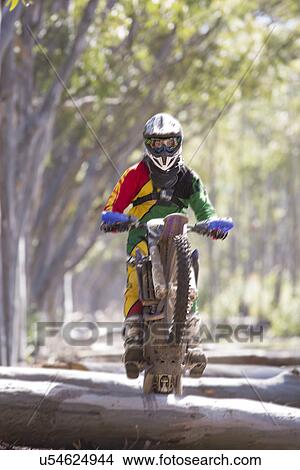 Young male motocross racer riding on top of forest logs View Large Photo Image Picture - Young male motocross racer riding on top of forest logs. Fotosearch
