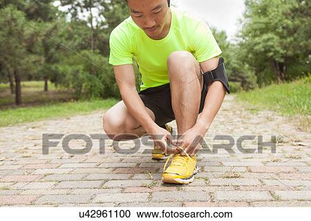 Stock Image - Young male runner tying trainer laces in park. Fotosearch