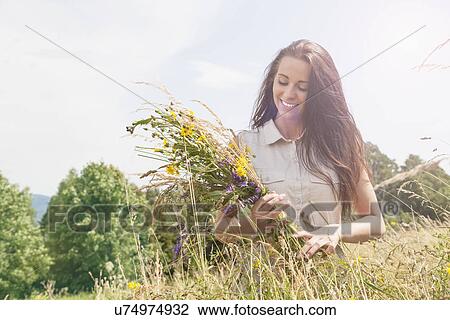 Young woman holding bunch of fresh picked wildflowers in field View Large Photo Image Stock Image - Young woman holding bunch of fresh picked wildflowers in field. Fotosearch