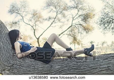 Stock Image - Young woman lying on tree. Fotosearch