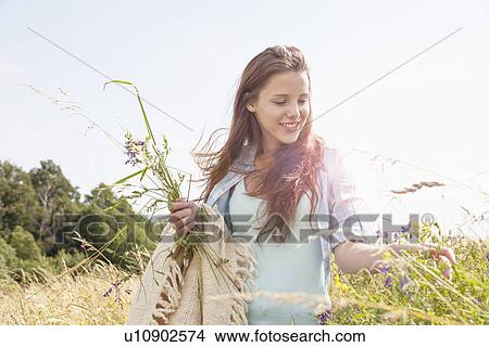 Young woman picking fresh wildflowers in field View Large Photo Image Picture - Young woman picking fresh wildflowers in field. Fotosearch