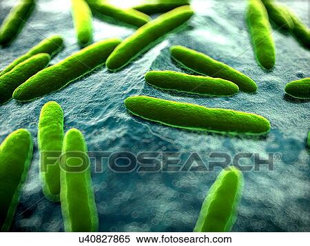Stock Illustration - Bacteria, illustration. Fotosearch