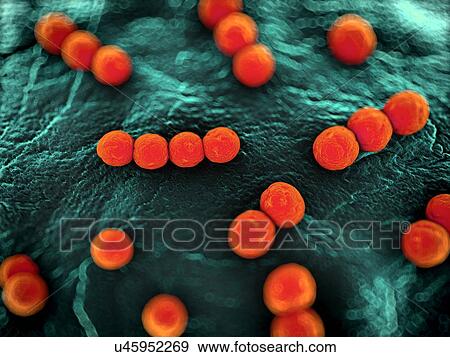 Stock Illustration - Bacteria, illustration. Fotosearch