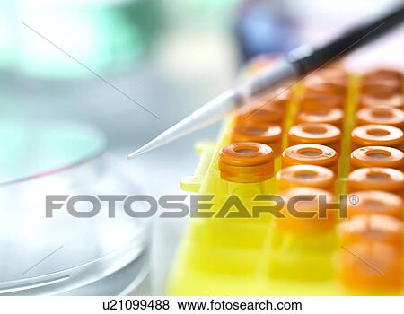 Stock Photo - Biomedical Research. Fotosearch