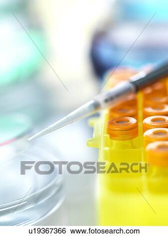 Stock Photograph - Biomedical Research. Fotosearch
