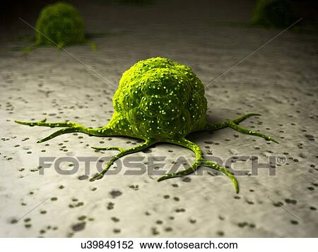 Cancer cell, illustration View Large Illustration Drawing - Cancer cell, illustration. Fotosearch