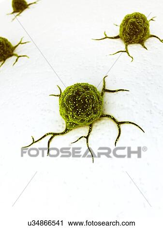 Clip Art - Cancer cells, illustration. Fotosearch
