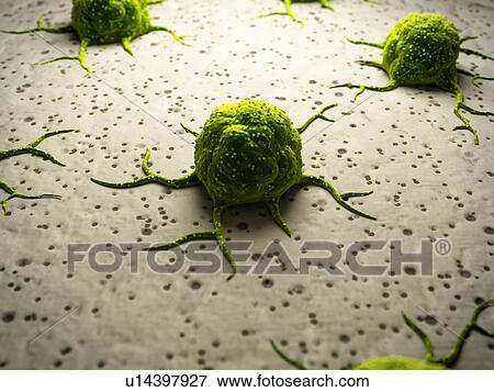 Cancer cells, illustration View Large Illustration Stock Illustration - Cancer cells, illustration. Fotosearch