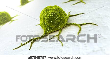 Cancer cells, illustration View Large Illustration Stock Illustration - Cancer cells, illustration. Fotosearch
