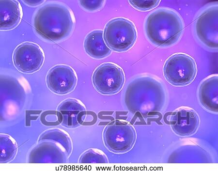 Cells, illustration View Large Illustration Clipart - Cells, illustration. Fotosearch