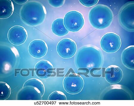 Stock Illustration - Cells, illustration. Fotosearch