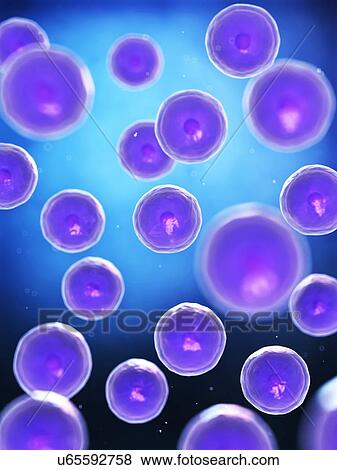 Cells, illustration View Large Illustration Stock Illustration - Cells, illustration. Fotosearch