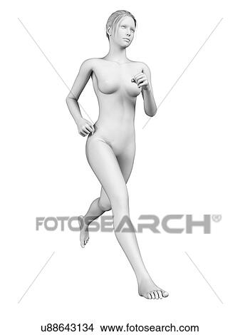 Female anatomy of a runner, illustration View Large Illustration Stock Illustration - Female anatomy of a runner, illustration. Fotosearch