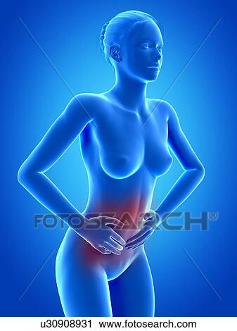 Clip Art - Female digestive pain, illustration. Fotosearch