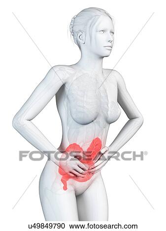 Clipart - Female digestive pain, illustration. Fotosearch