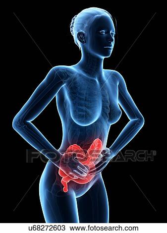 Drawing - Female digestive pain, illustration. Fotosearch
