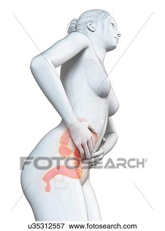 Stock Illustration - Female digestive pain, illustration. Fotosearch
