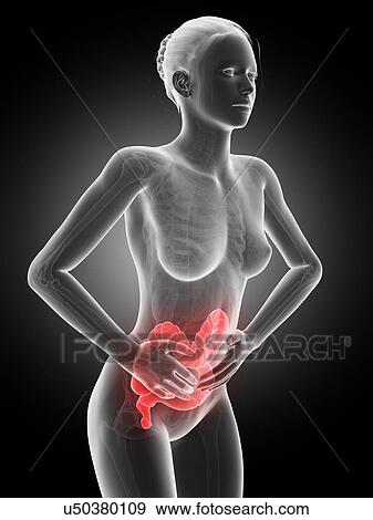 Stock Illustration - Female digestive pain, illustration. Fotosearch