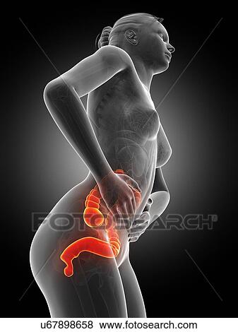 Female digestive pain, illustration View Large Illustration Stock Illustration - Female digestive pain, illustration. Fotosearch