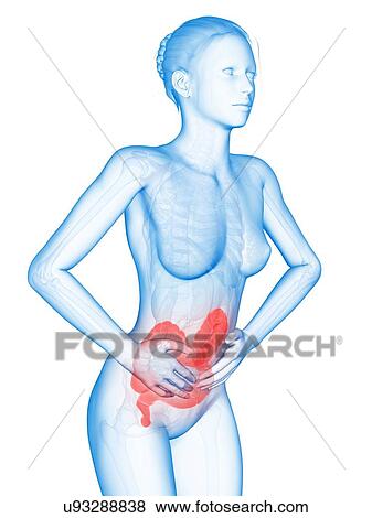 Stock Illustration - Female digestive pain, illustration. Fotosearch