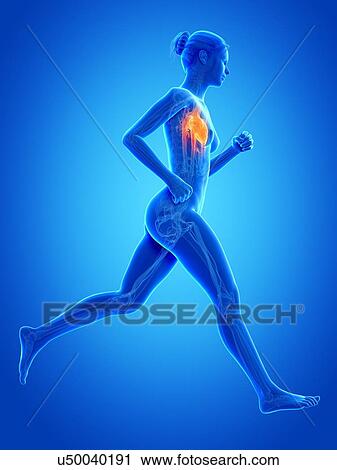 Clip Art - Heart of a runner, illustration. Fotosearch