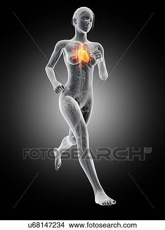 Heart of a runner, illustration View Large Illustration Stock Illustration - Heart of a runner, illustration. Fotosearch