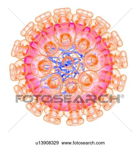 Stock Illustration - Herpes simplex type 1 virus, illustration. Fotosearch