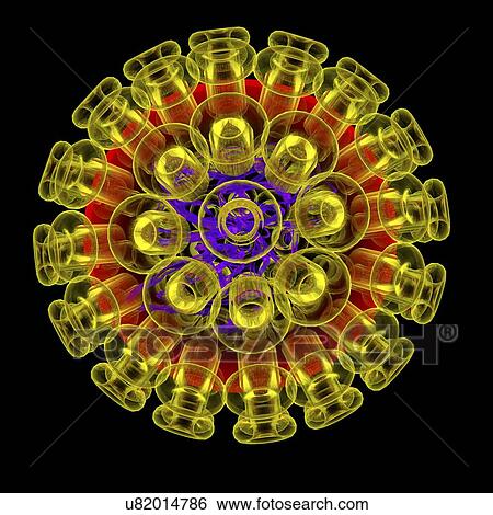 Stock Illustration - Herpes simplex type 1 virus, illustration. Fotosearch
