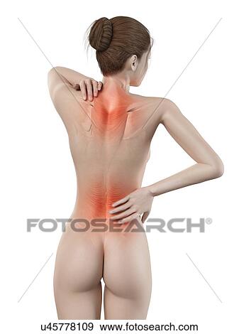Human back pain, illustration View Large Illustration Stock Illustration - Human back pain, illustration. Fotosearch