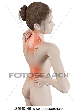 Human back pain, illustration View Large Illustration Stock Illustration - Human back pain, illustration. Fotosearch
