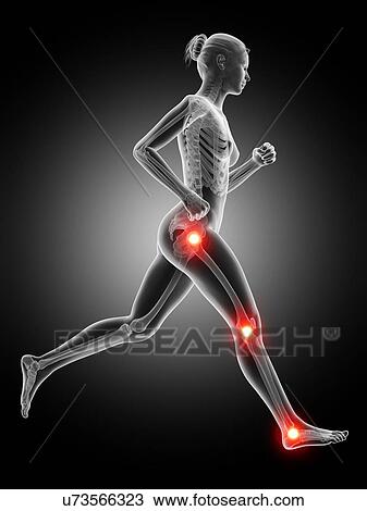 Human joints, illustration View Large Illustration Drawing - Human joints, illustration. Fotosearch