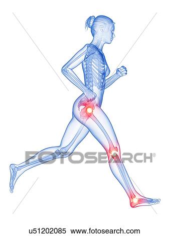 Human joints, illustration View Large Illustration Stock Illustration - Human joints, illustration. Fotosearch
