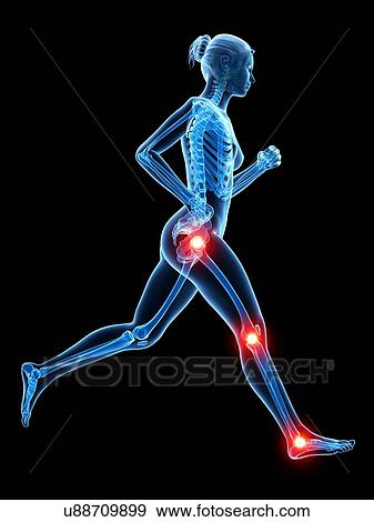 Human joints, illustration View Large Illustration Stock Illustration - Human joints, illustration. Fotosearch