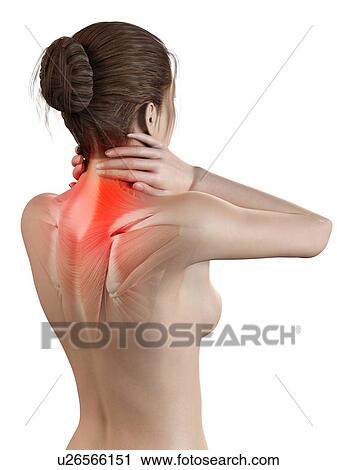 Human neck pain, illustration View Large Illustration Clip Art - Human neck pain, illustration. Fotosearch