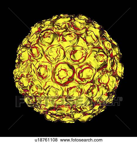 Stock Illustration - Human papilloma virus particle, artwork. Fotosearch