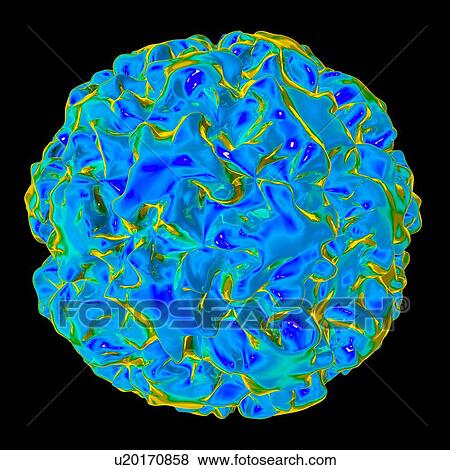 Human papilloma virus particle, artwork View Large Illustration Stock Illustration - Human papilloma virus particle, artwork. Fotosearch