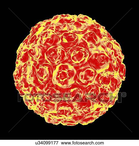 Human papilloma virus particle, artwork View Large Illustration Stock Illustration - Human papilloma virus particle, artwork. Fotosearch