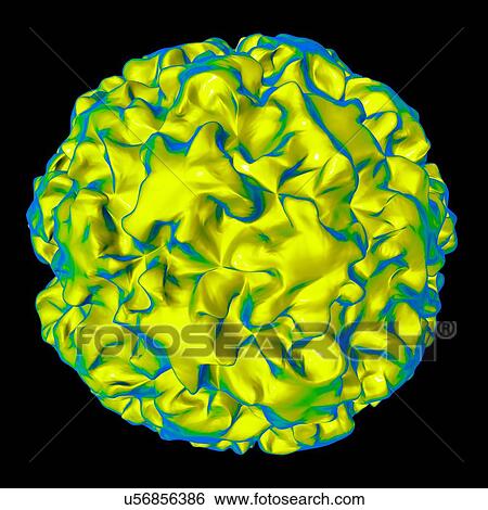 Stock Illustration - Human papilloma virus particle, artwork. Fotosearch